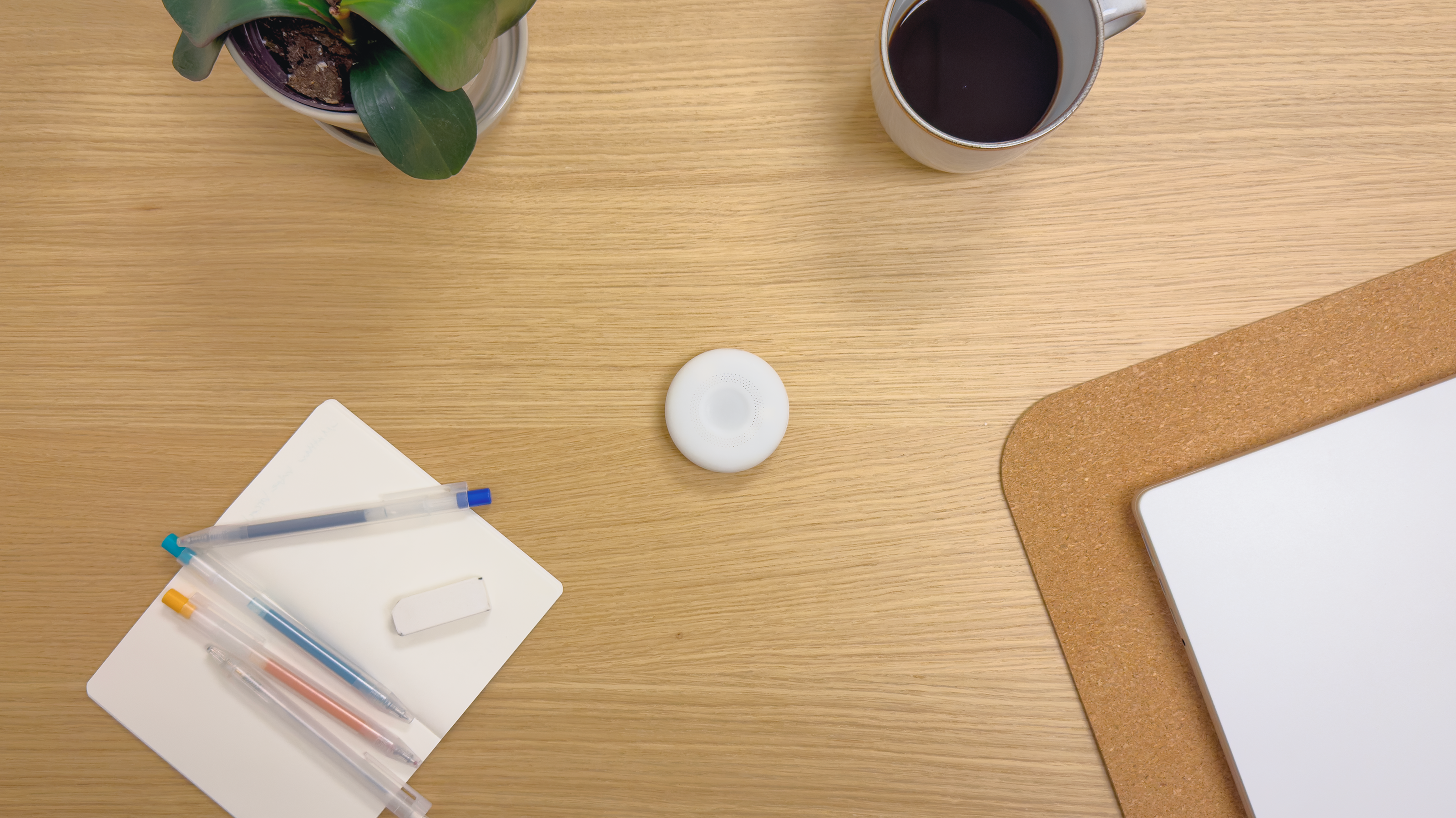 Sunflower in real environment